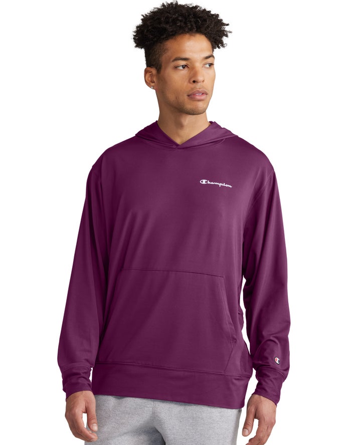 Champion City Sport Reflective Script Logo Erkek Kapşonlu Sweatshirt Mor ( RWQOBN298 )